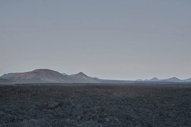 hiltl campaign